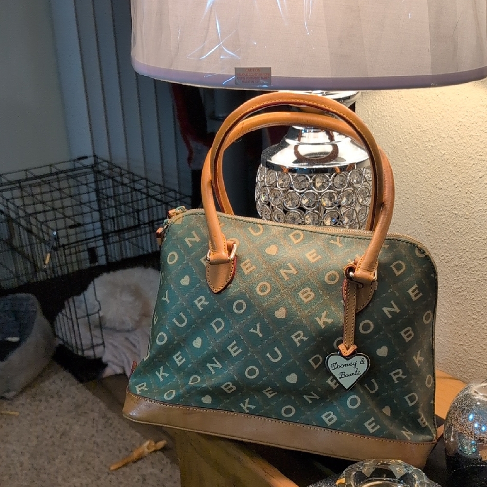 Dooney & Bourke Green and Tan Women's Bag